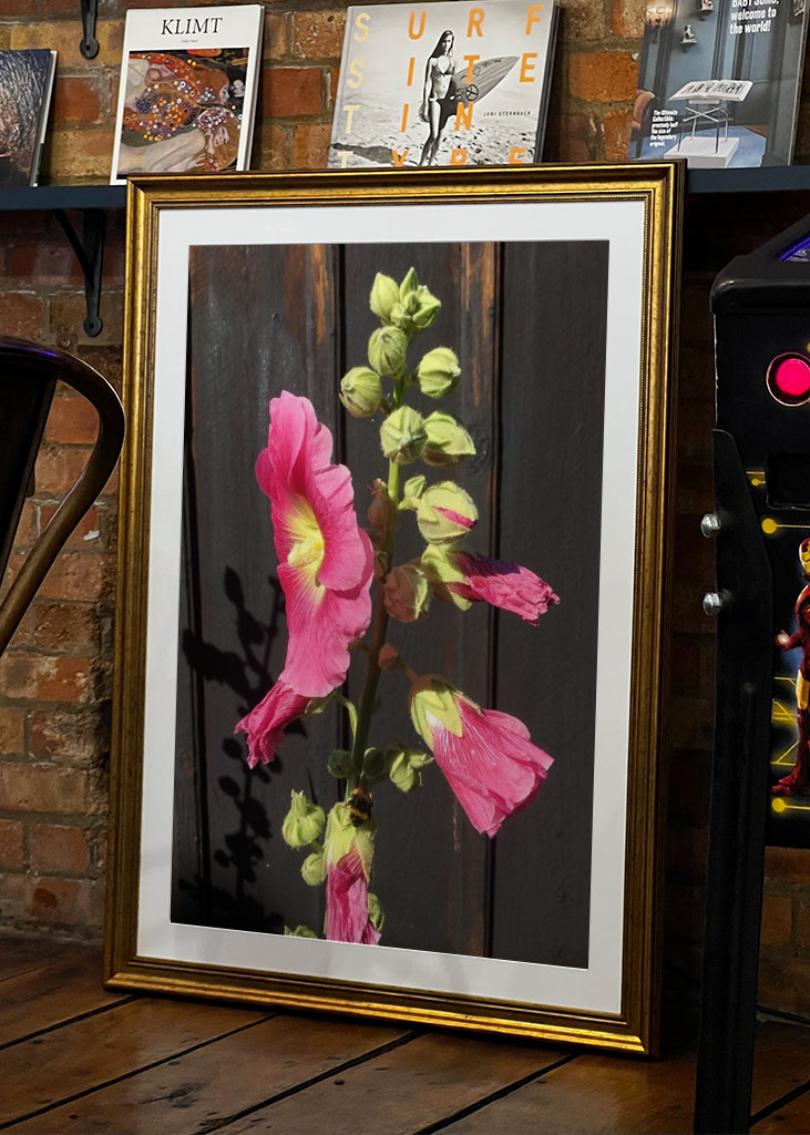 The hollyhock & the bumblebee