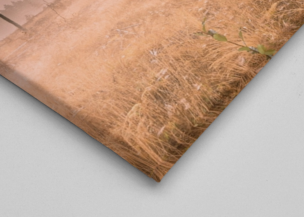 Tåke over morgenlandskapet