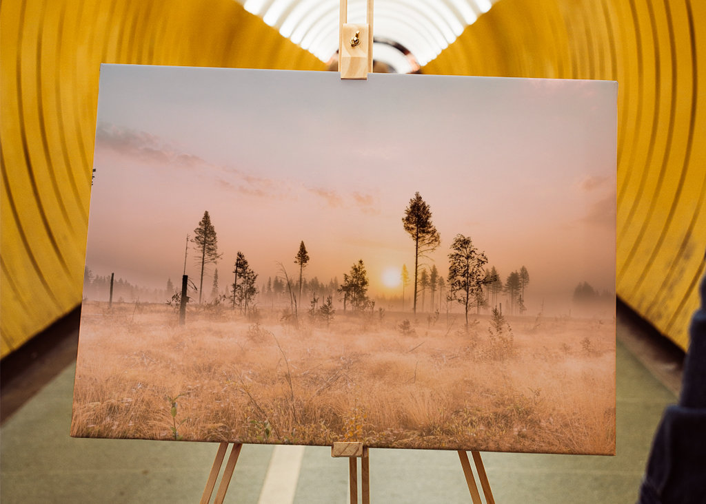 Tåke over morgenlandskapet