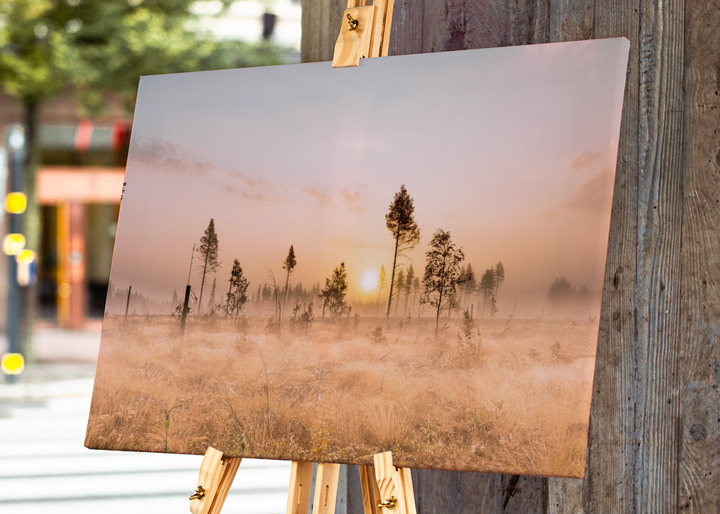 Tåke over morgenlandskapet