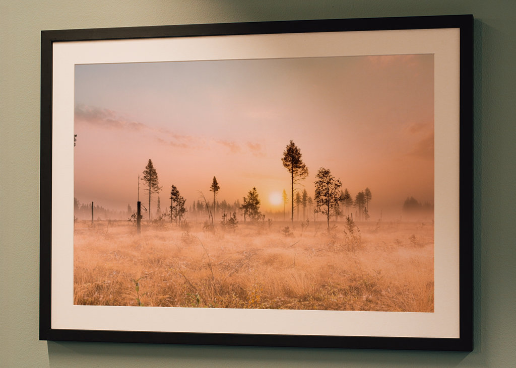 Tåke over morgenlandskapet