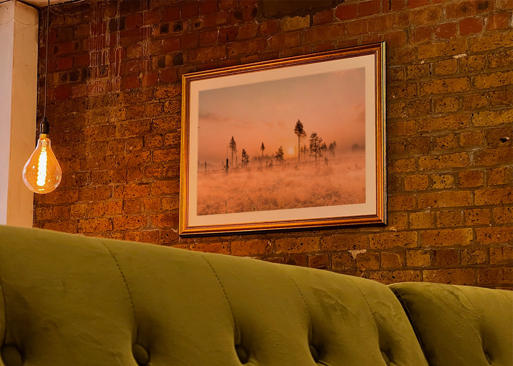 Tåke over morgenlandskapet