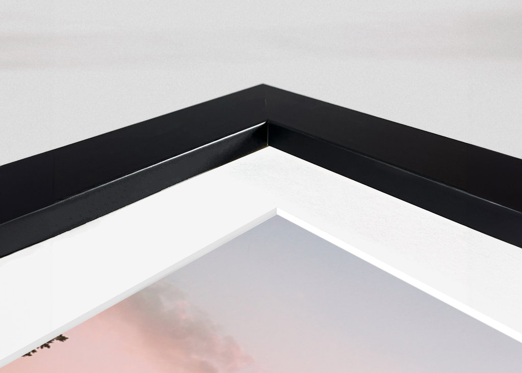 Tåke over morgenlandskapet