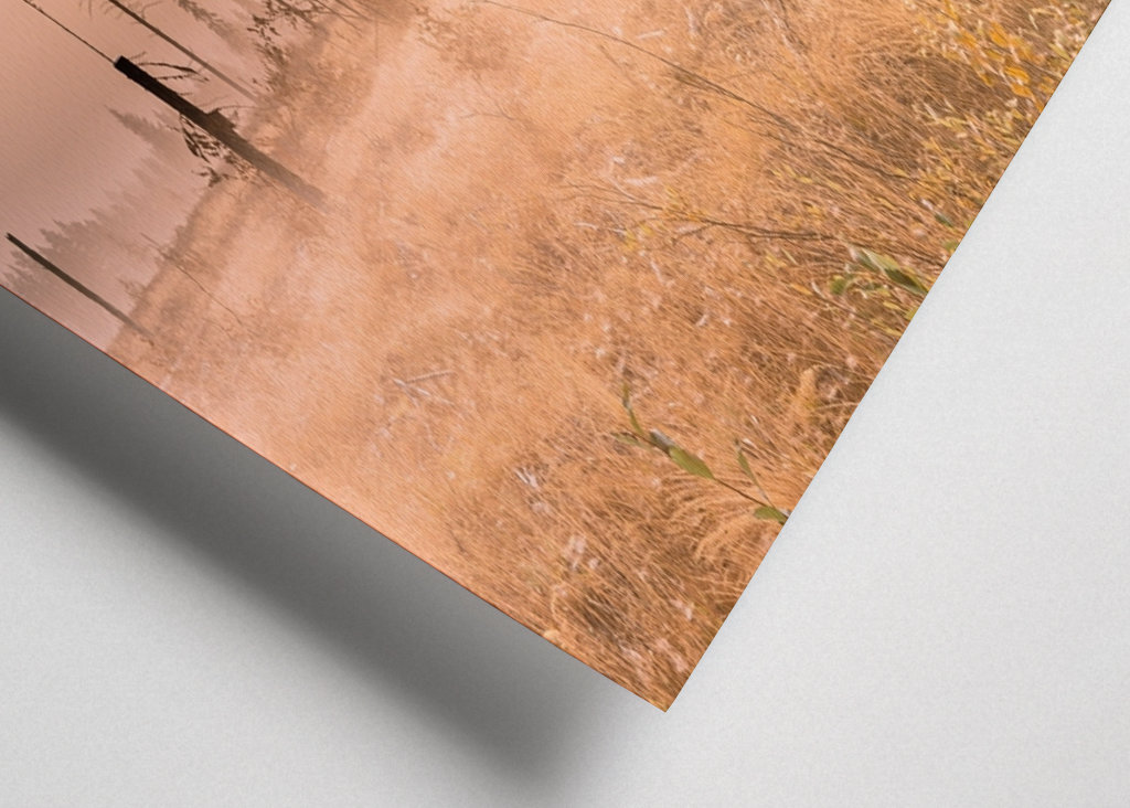 Tåke over morgenlandskapet