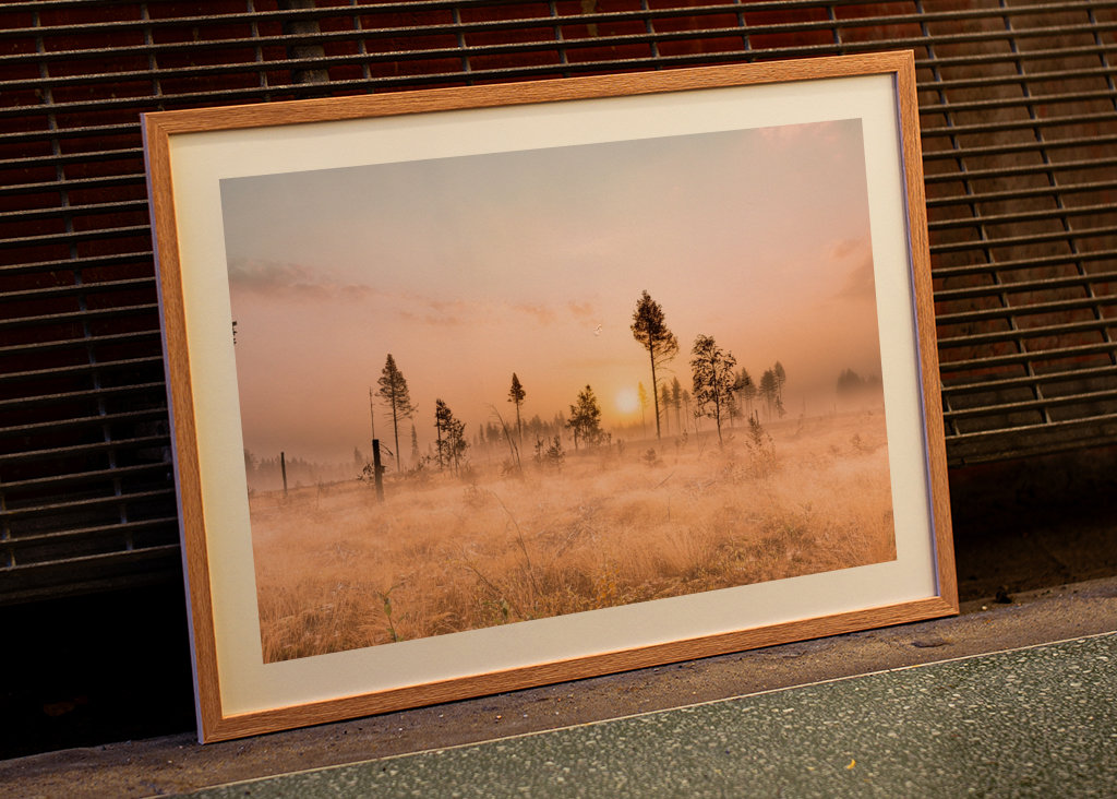 Tåke over morgenlandskapet