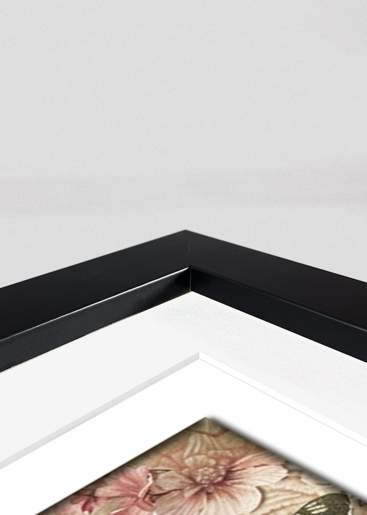 Desiderata Báseň & Motýli