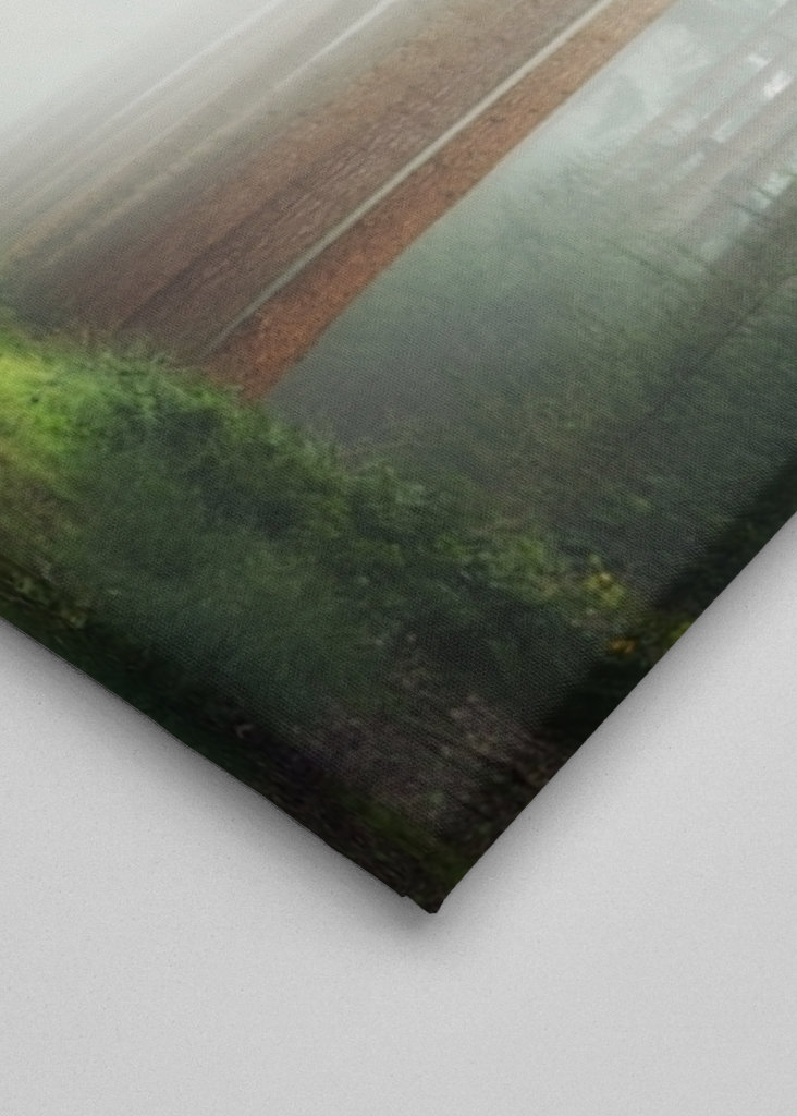 Geheimnisvoller Wald