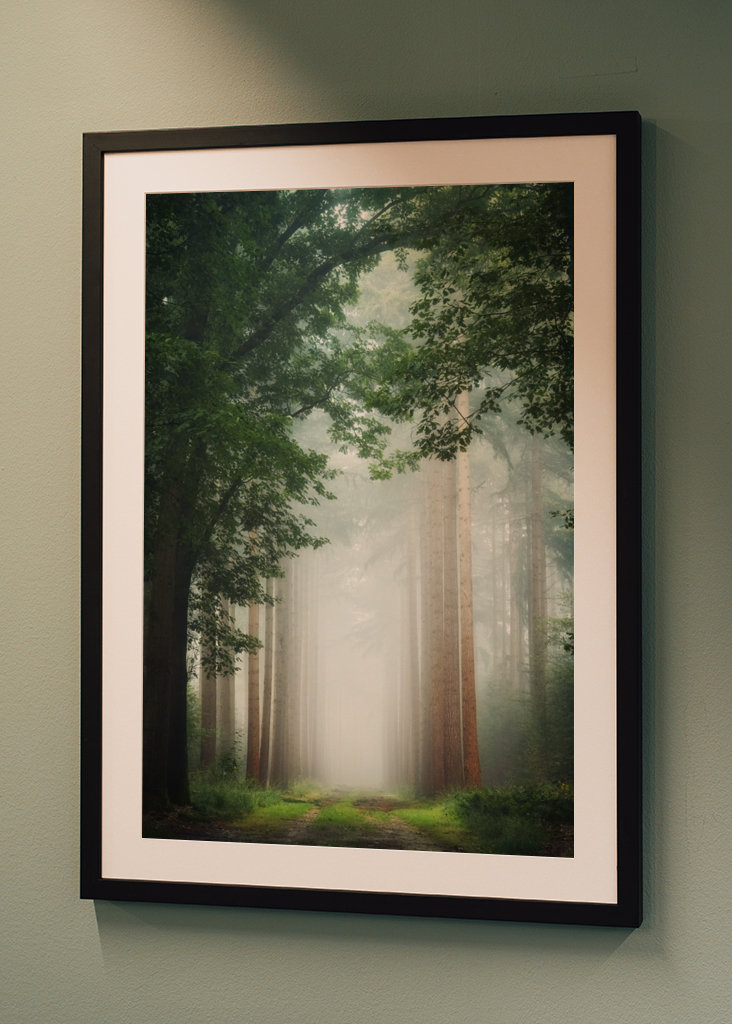 Geheimnisvoller Wald