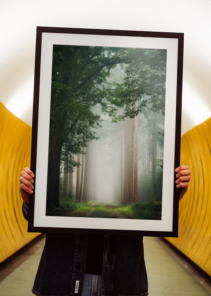 Geheimnisvoller Wald