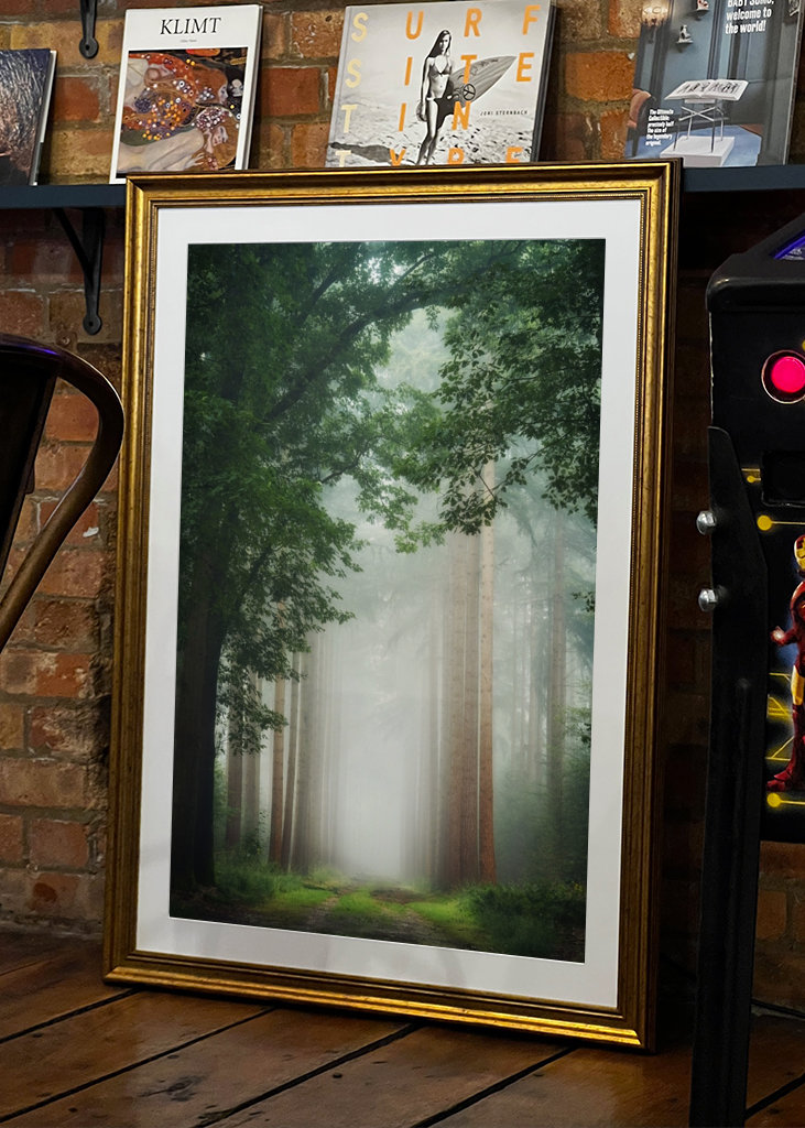 Geheimnisvoller Wald