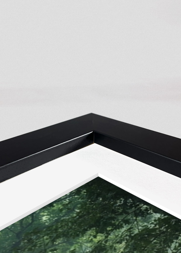 Geheimnisvoller Wald