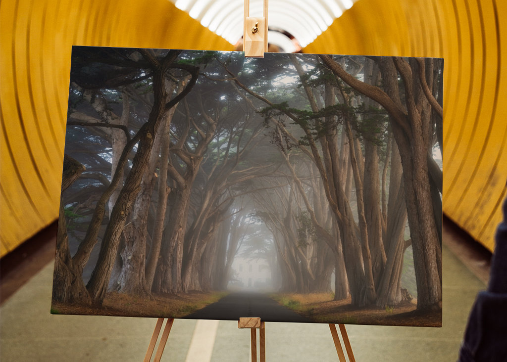 Zypressen-Baumtunnel Kalifornien