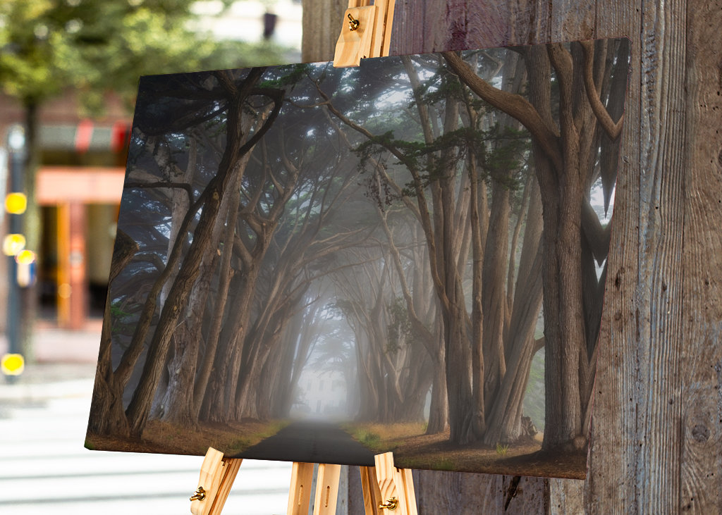 Zypressen-Baumtunnel Kalifornien