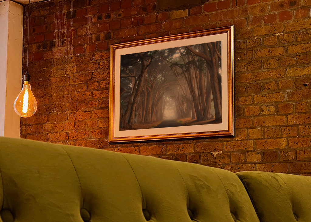 Zypressen-Baumtunnel Kalifornien