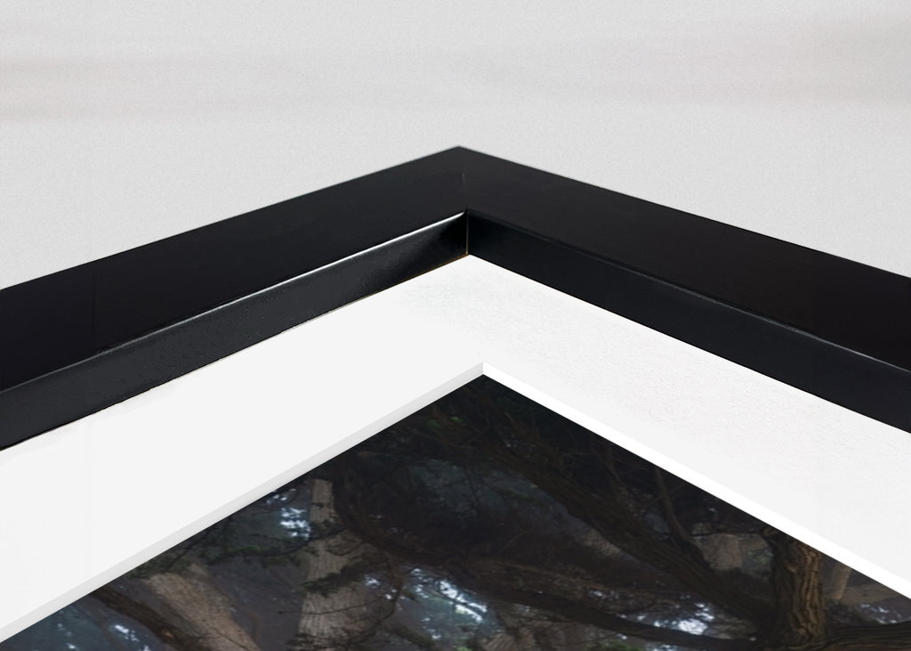 Zypressen-Baumtunnel Kalifornien