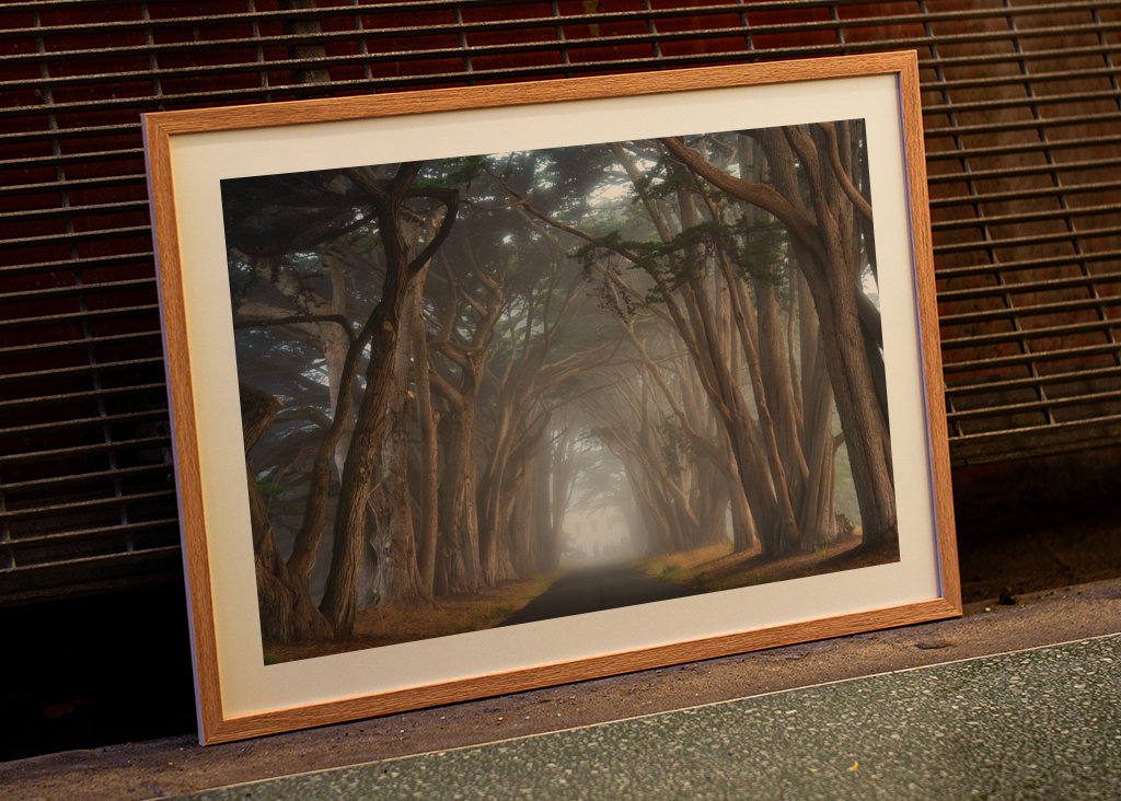 Zypressen-Baumtunnel Kalifornien