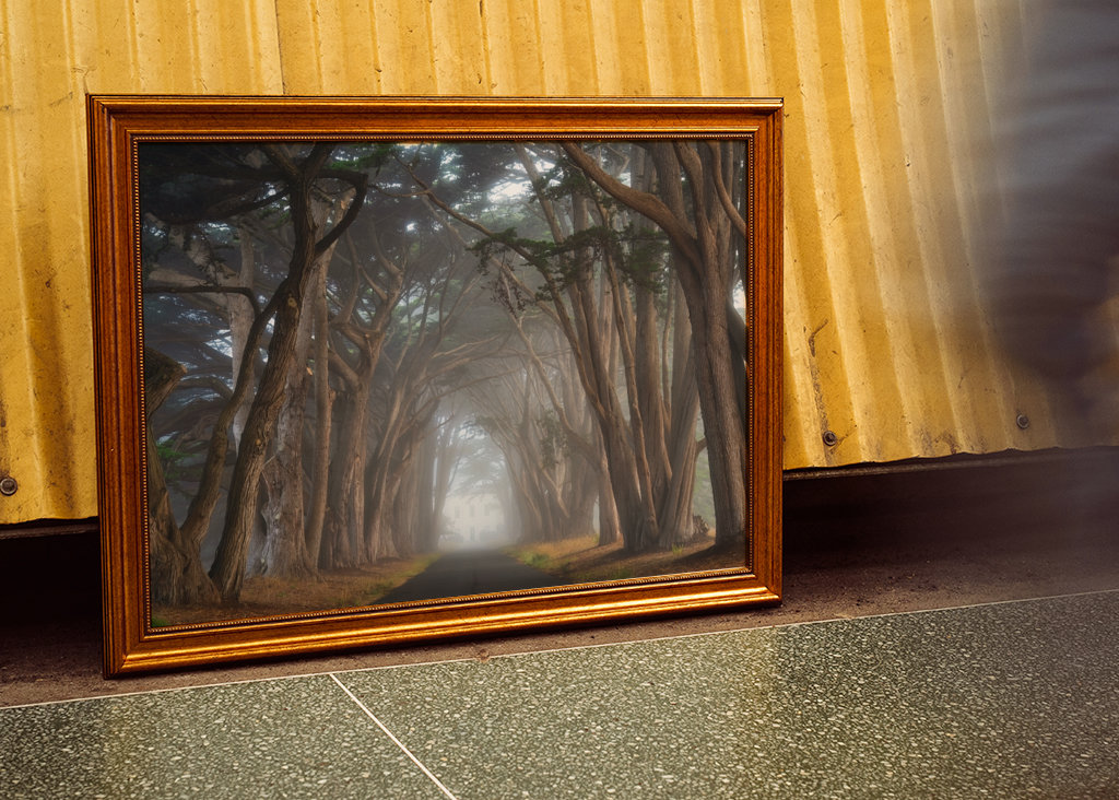 Zypressen-Baumtunnel Kalifornien