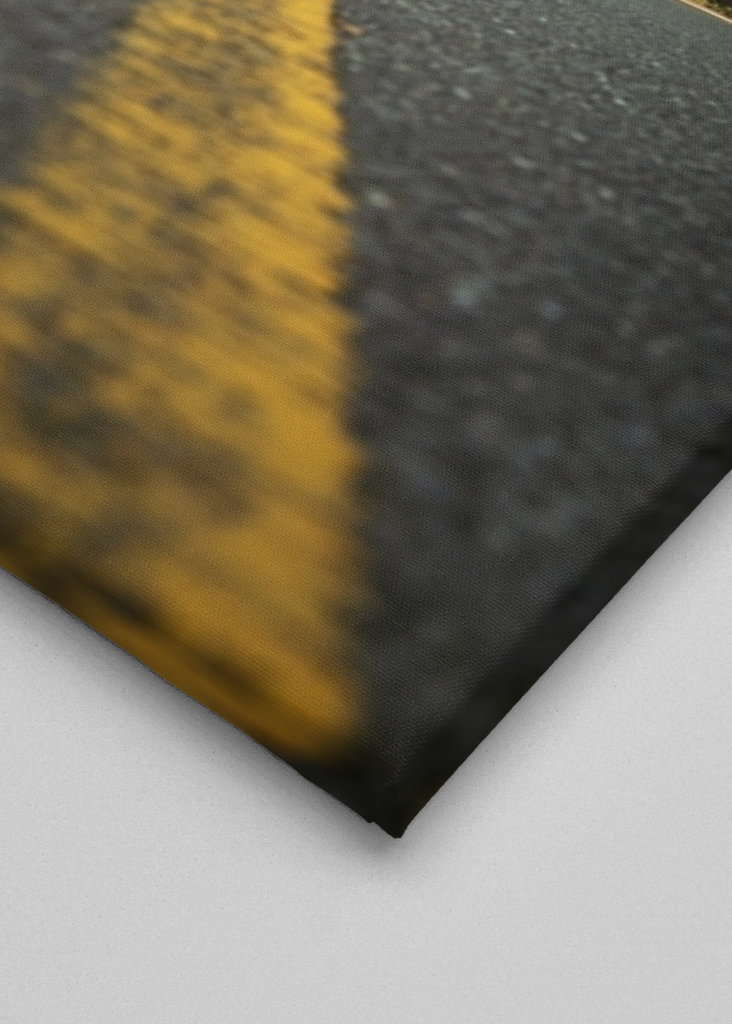 Roadtrip Stati Uniti