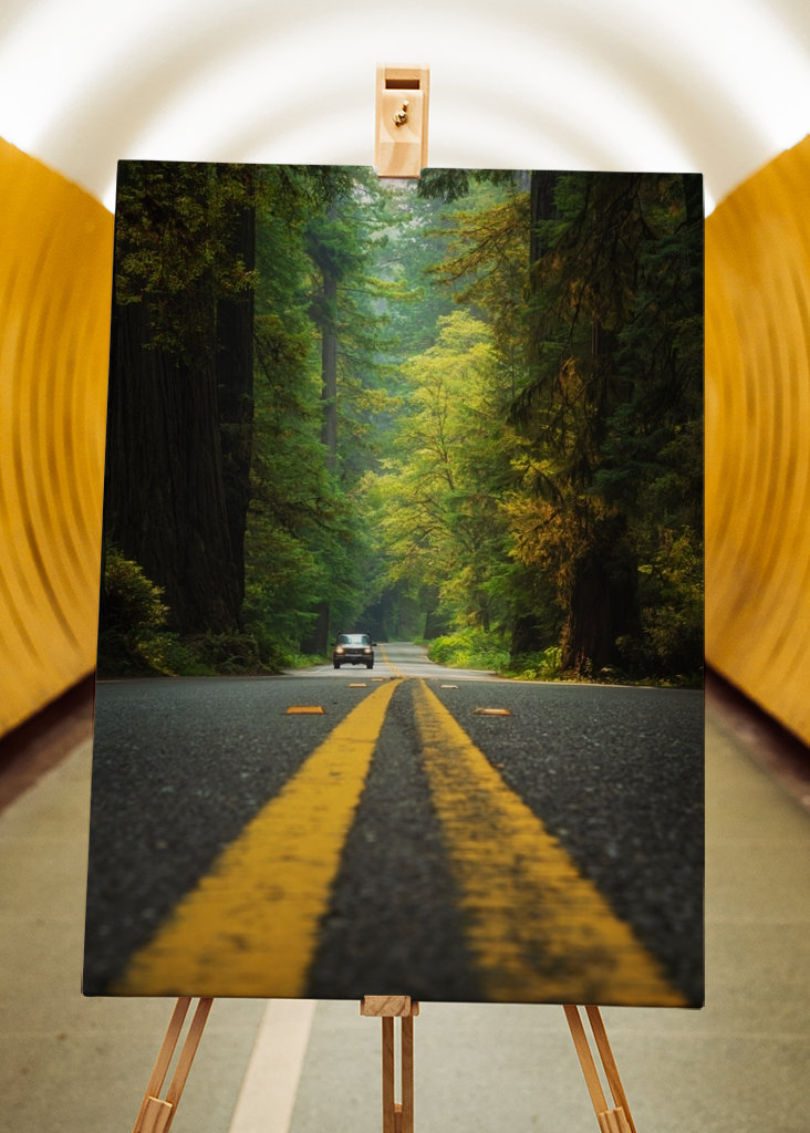 Roadtrip Stati Uniti