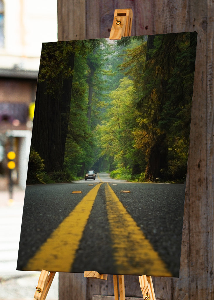 Roadtrip Stati Uniti