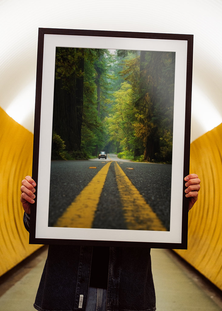 Roadtrip Stati Uniti