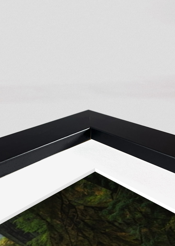 Roadtrip Stati Uniti