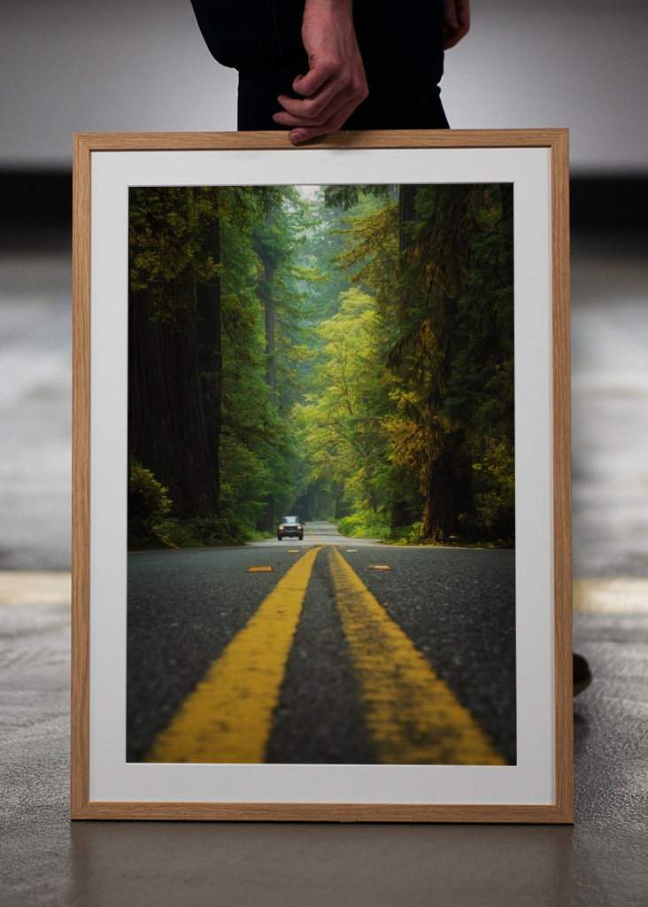 Roadtrip Stati Uniti