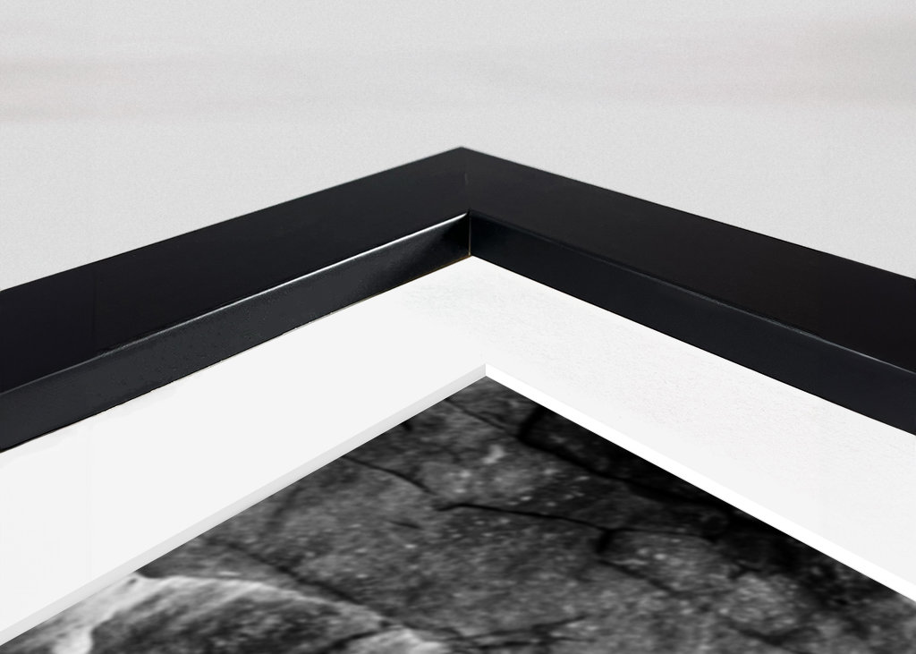 Orso polare in bianco e nero