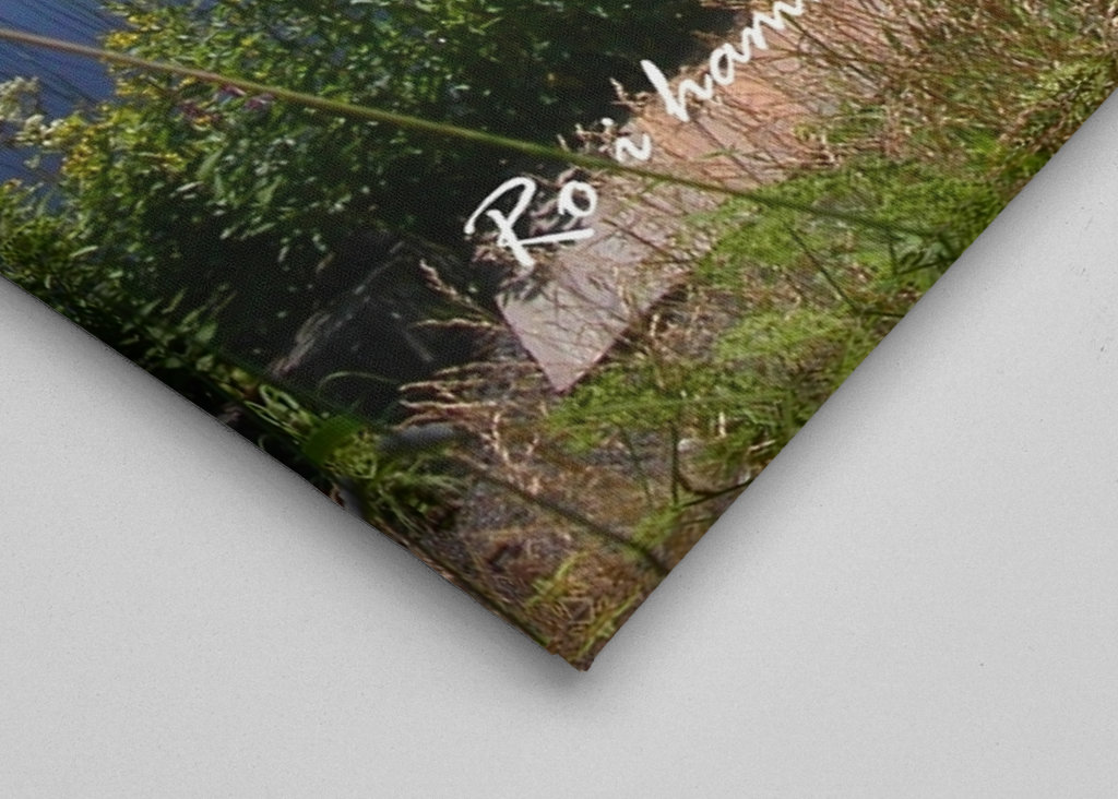 Peace in the Harbour