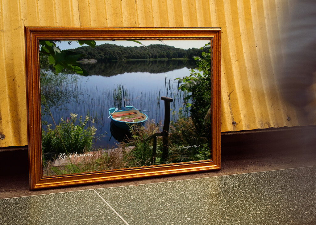 Peace in the Harbour