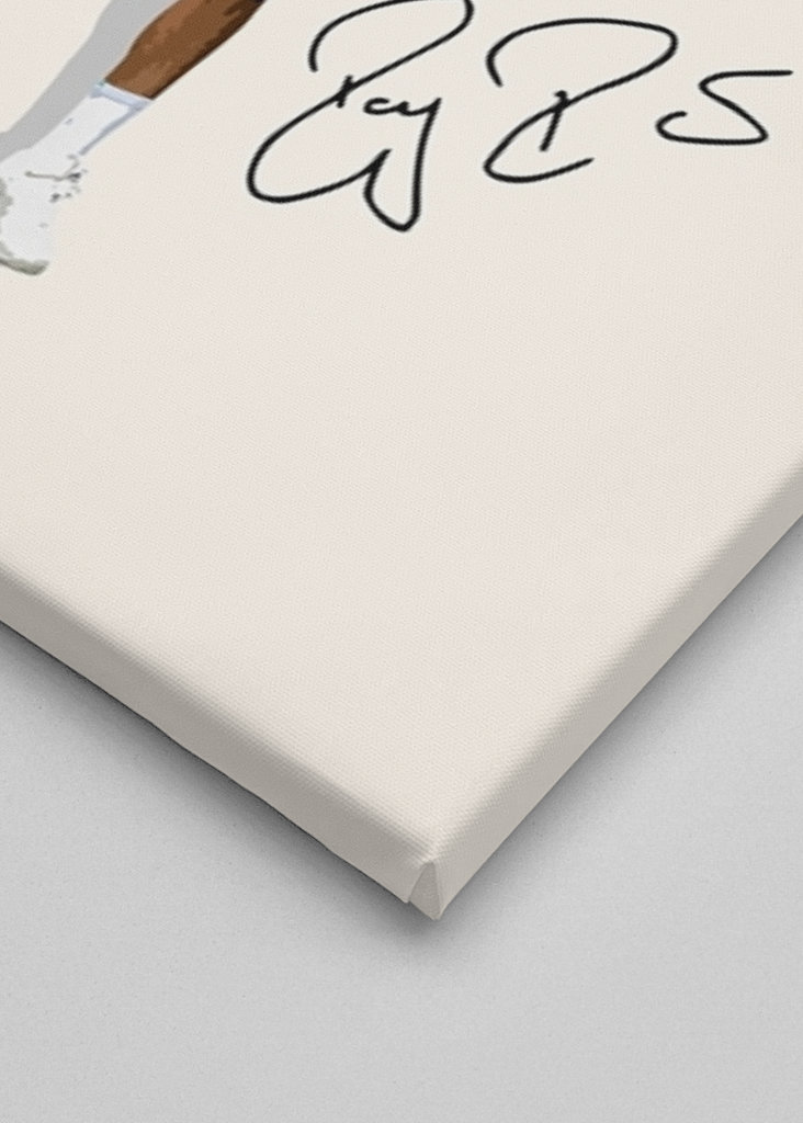 Roger Federer Minimalist