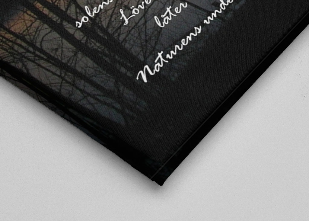 Nature's wonders captivate me