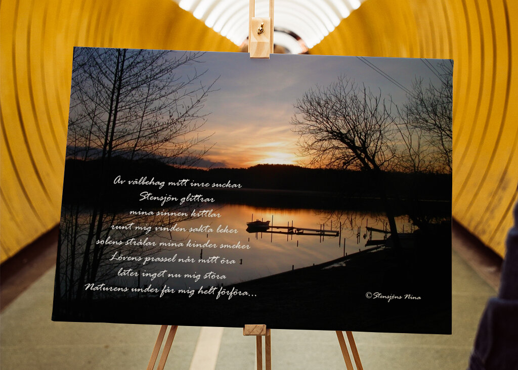 Nature's wonders captivate me