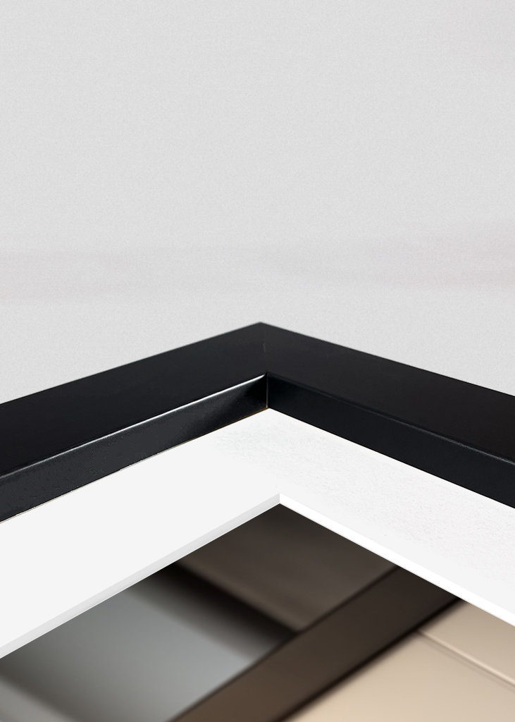 Norwegische Waldkatze auf der Toilette