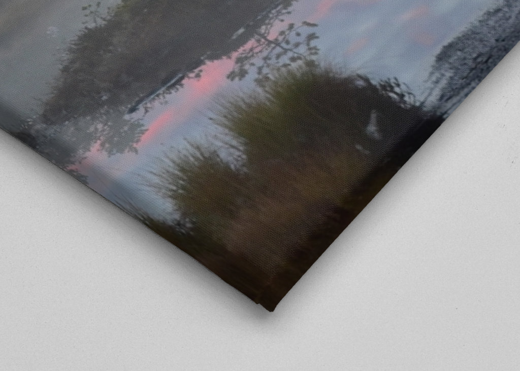 Sunrise over the bog