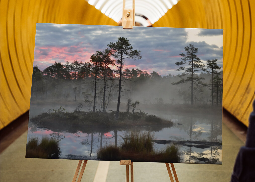 Sunrise over the bog