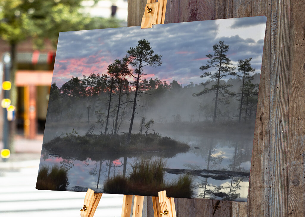 Sunrise over the bog
