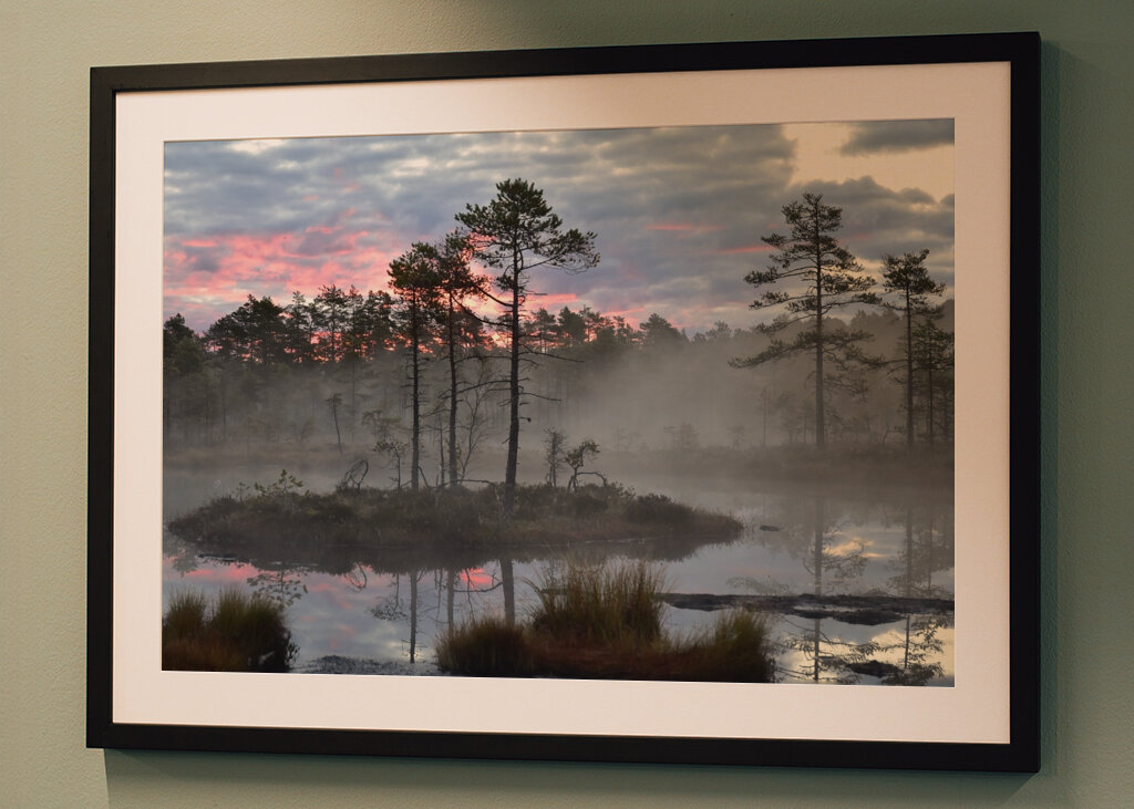 Sunrise over the bog