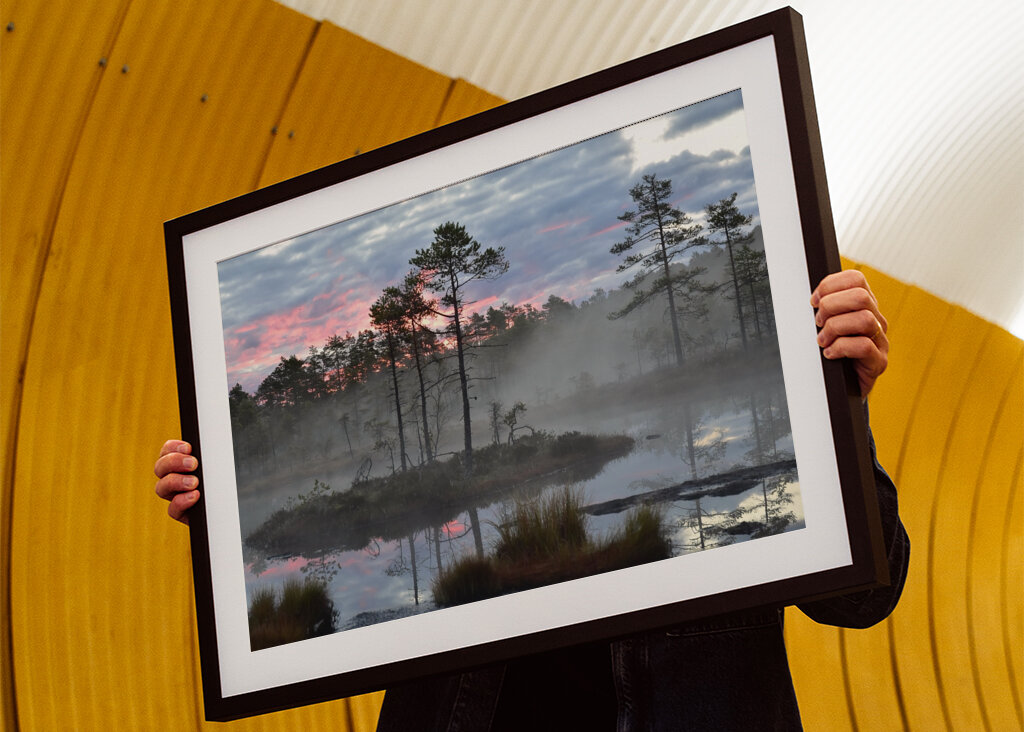 Sunrise over the bog