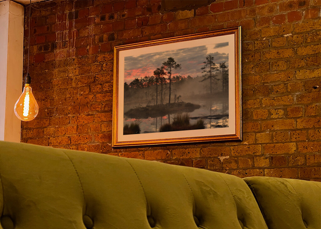 Sunrise over the bog