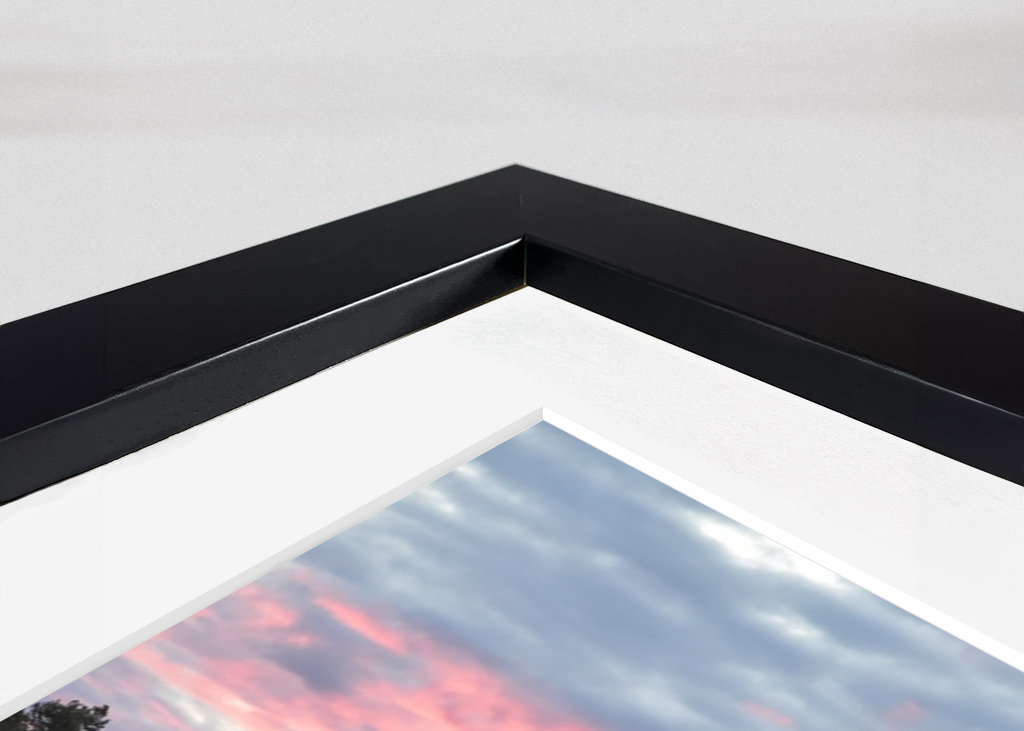 Sunrise over the bog