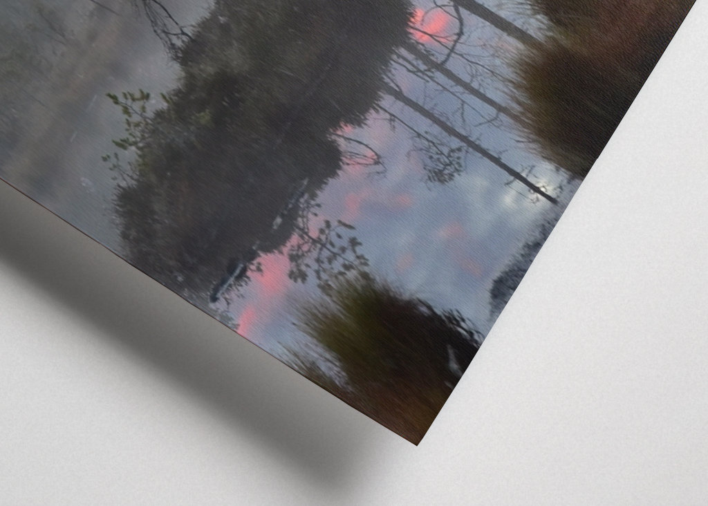 Sunrise over the bog