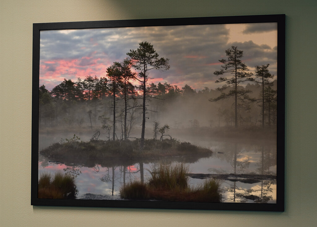 Sunrise over the bog
