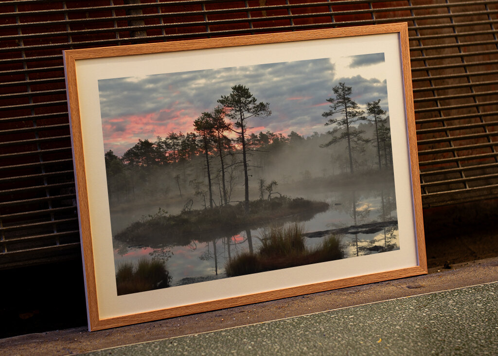 Sunrise over the bog