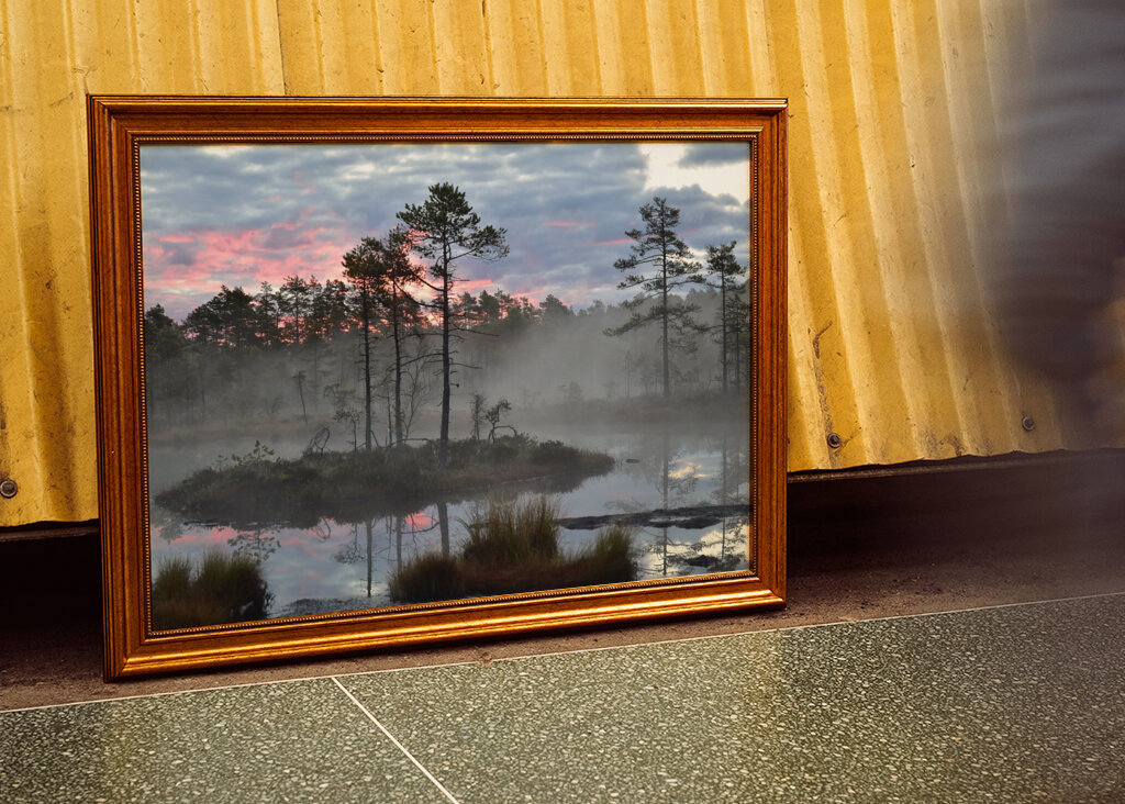 Sunrise over the bog