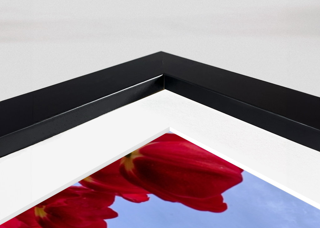 Red and white Tulips