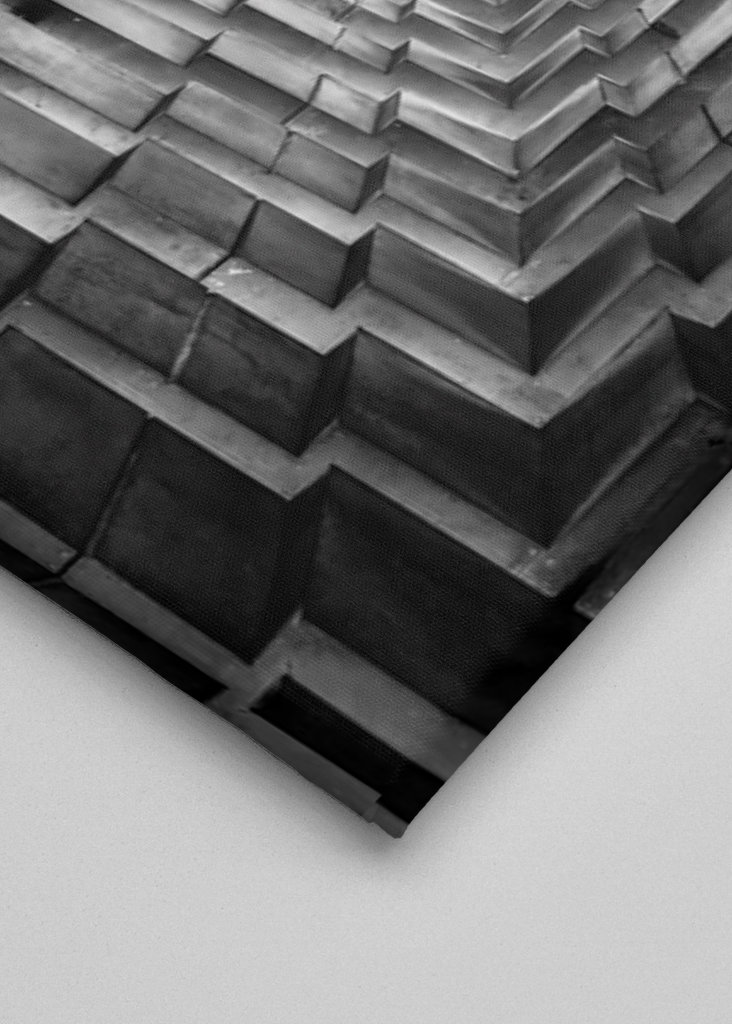 ¿Blanco y negro en el zoológico de Berlín?