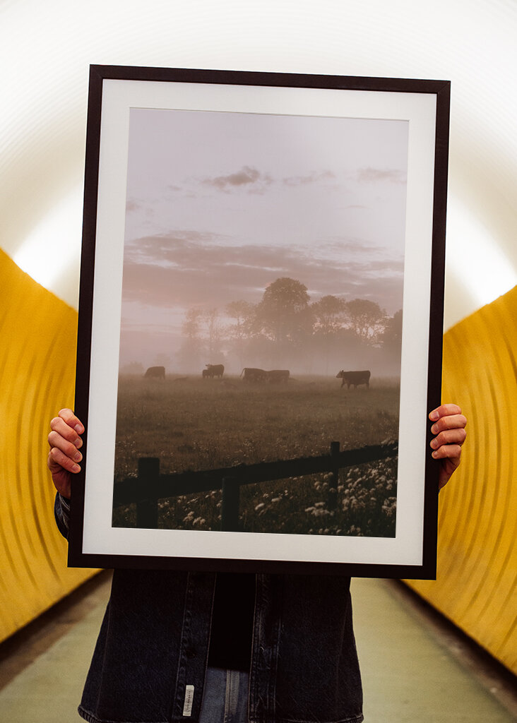 Midsommarnattsdröm 2