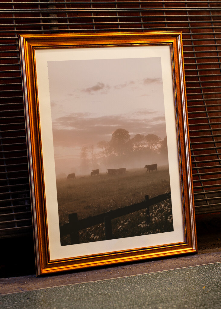 Midsommarnattsdröm 2