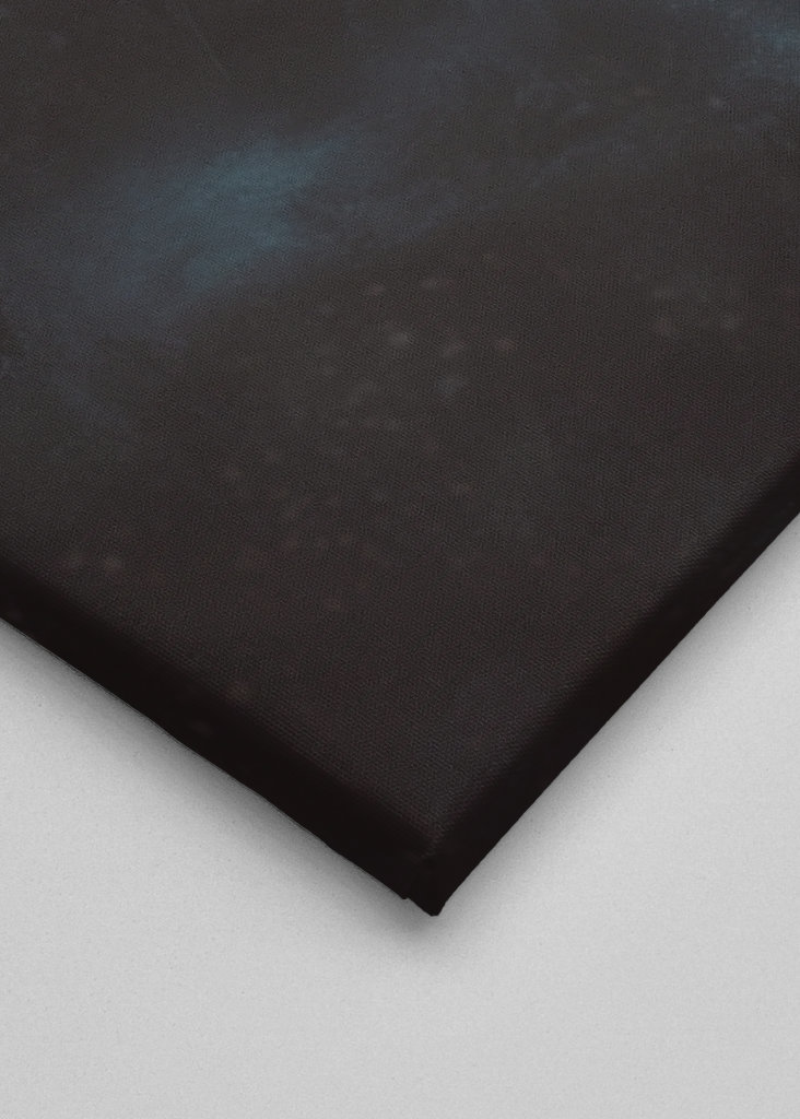 The Wolf's Song to the Moon